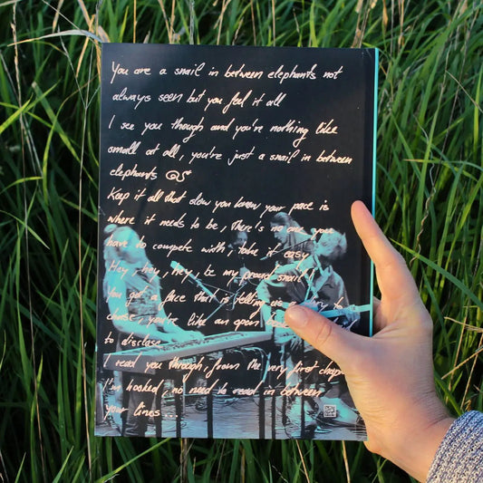 Lyrics & Stories – book